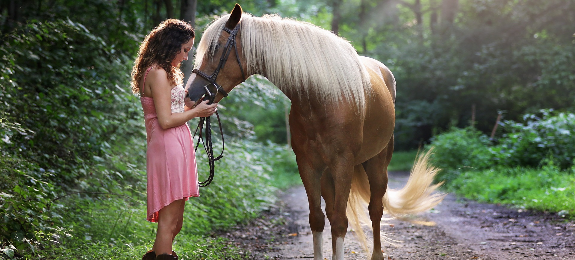 Pferdehaftpflichtversicherung